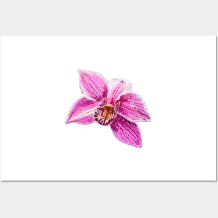 Cymbidium Orchid Pink Flower 2 Posters and Art